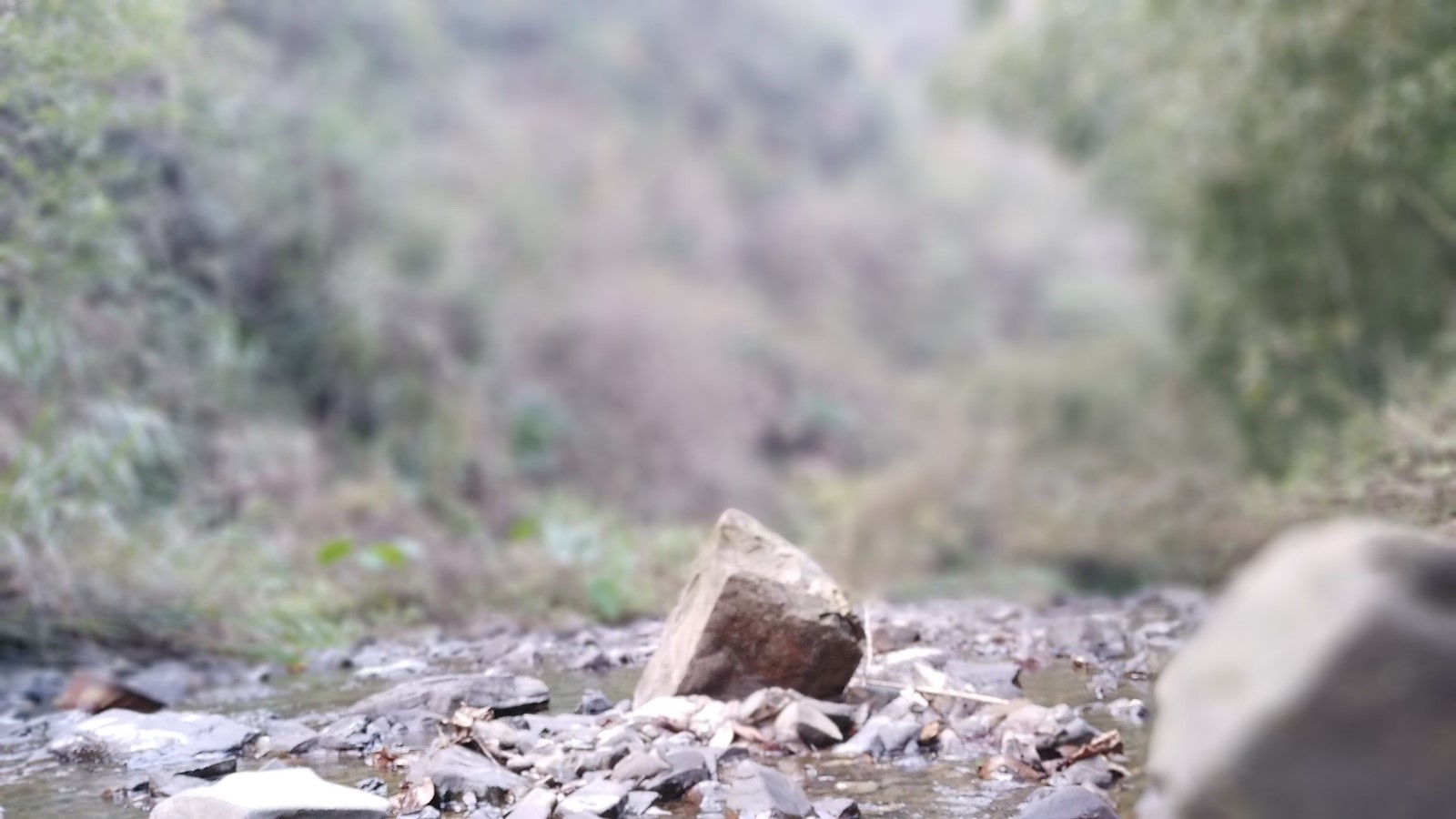 vivox9的舒适瞬间,vivox9小细节