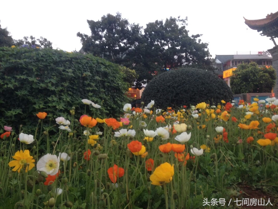 四川人的旅途,四川人去旅行