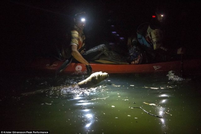 一条狗一个人的感人视频,一条狗一个人生活