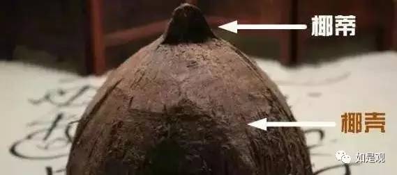 椰壳佛珠你知道吗,椰壳佛珠图片大全