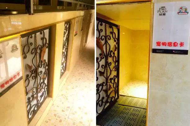 成都宠物寄养基地,成都狗狗寄养