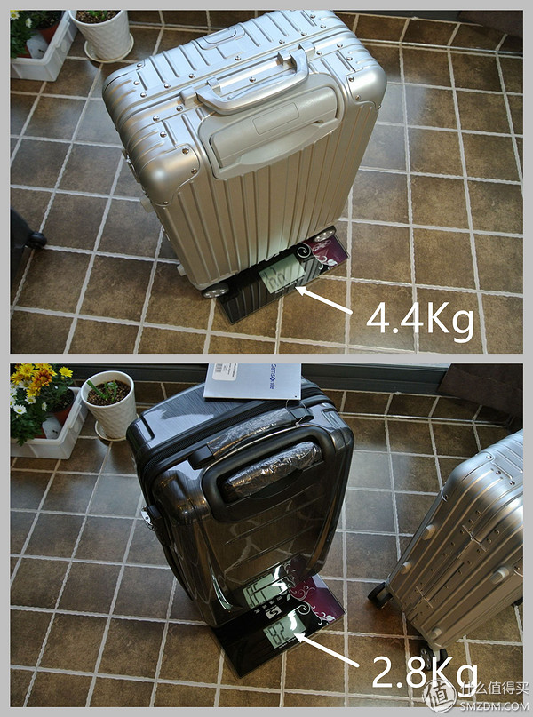 说走就走的旅行2020,说走就走的旅行美国