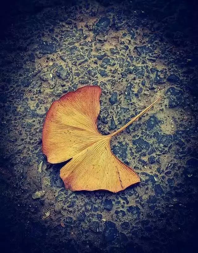 路上奔跑的小和尚,路上捡到一个小和尚