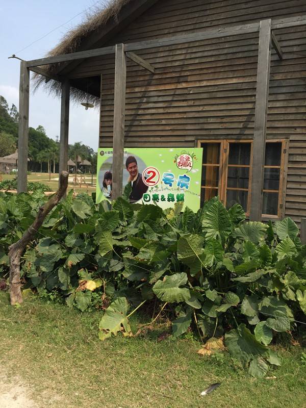 长隆攻略水上乐园和大马戏,广州长隆动物世界旅游攻略