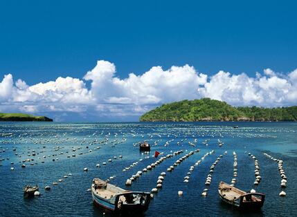 买珍珠好还是黄金好,买珍珠买海水还是淡水