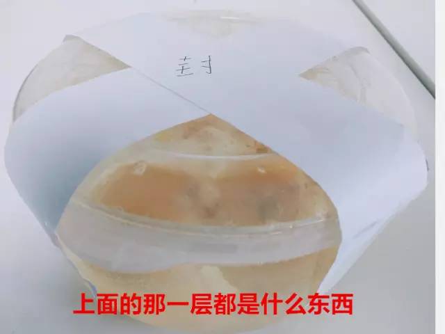 鸡蛋遇到什么会变成弹力球,用白醋泡鸡蛋变成弹力球