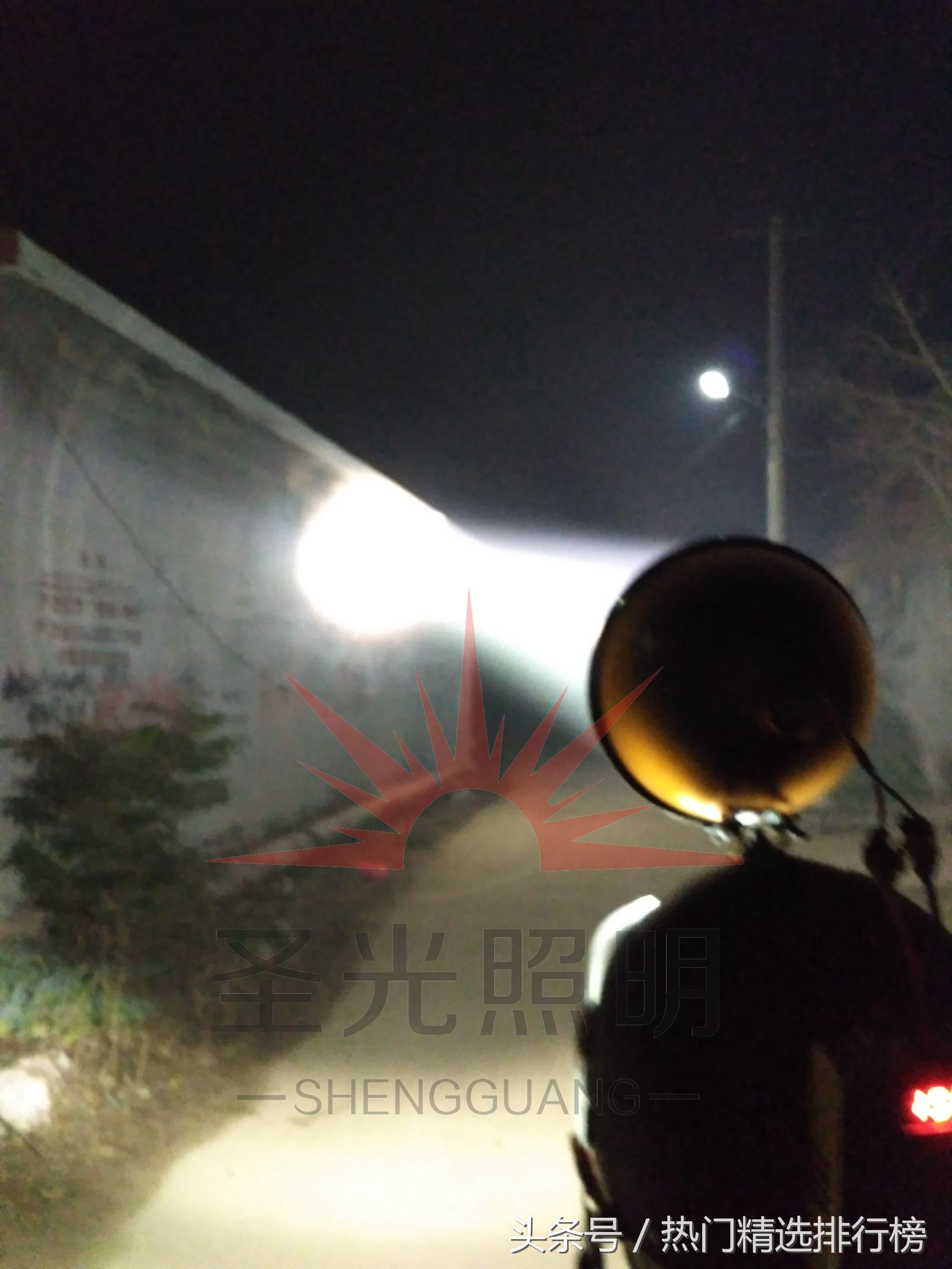 惠比特和灵缇格力犬区别,灵缇格力惠比特细犬哪个体型大