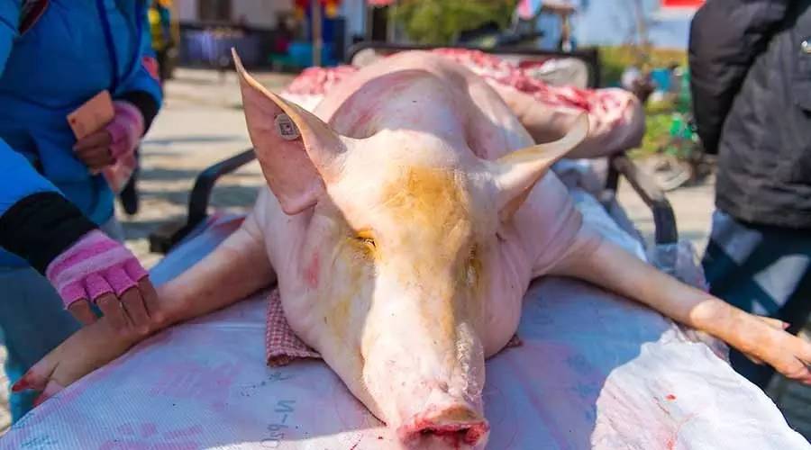 南京长街宴图片,高淳长街宴老字号