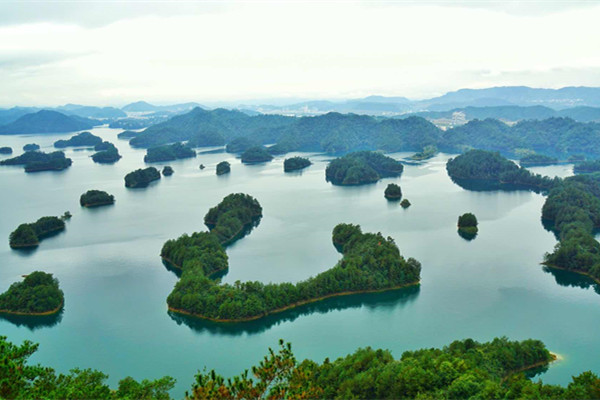 上有天堂下有苏杭杭州确实很美,上有天堂下有苏杭畅游杭州的一天