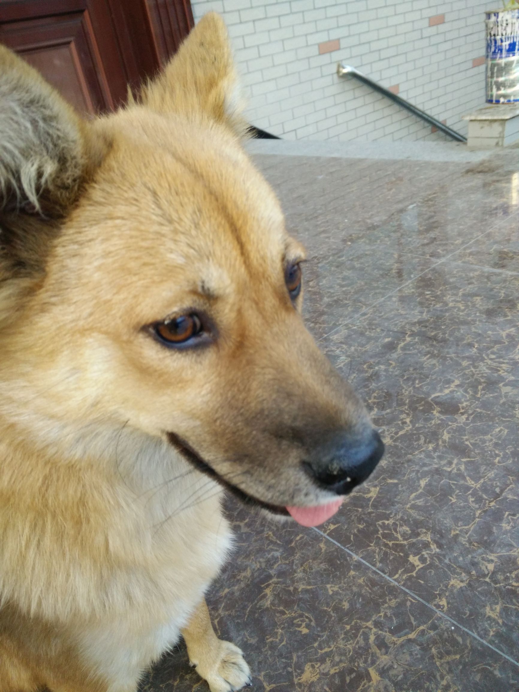 她叫肉肉(土话;扭扭)