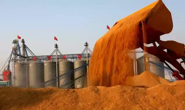 中国式“大地金融”：扎根在泥土里的小额农贷