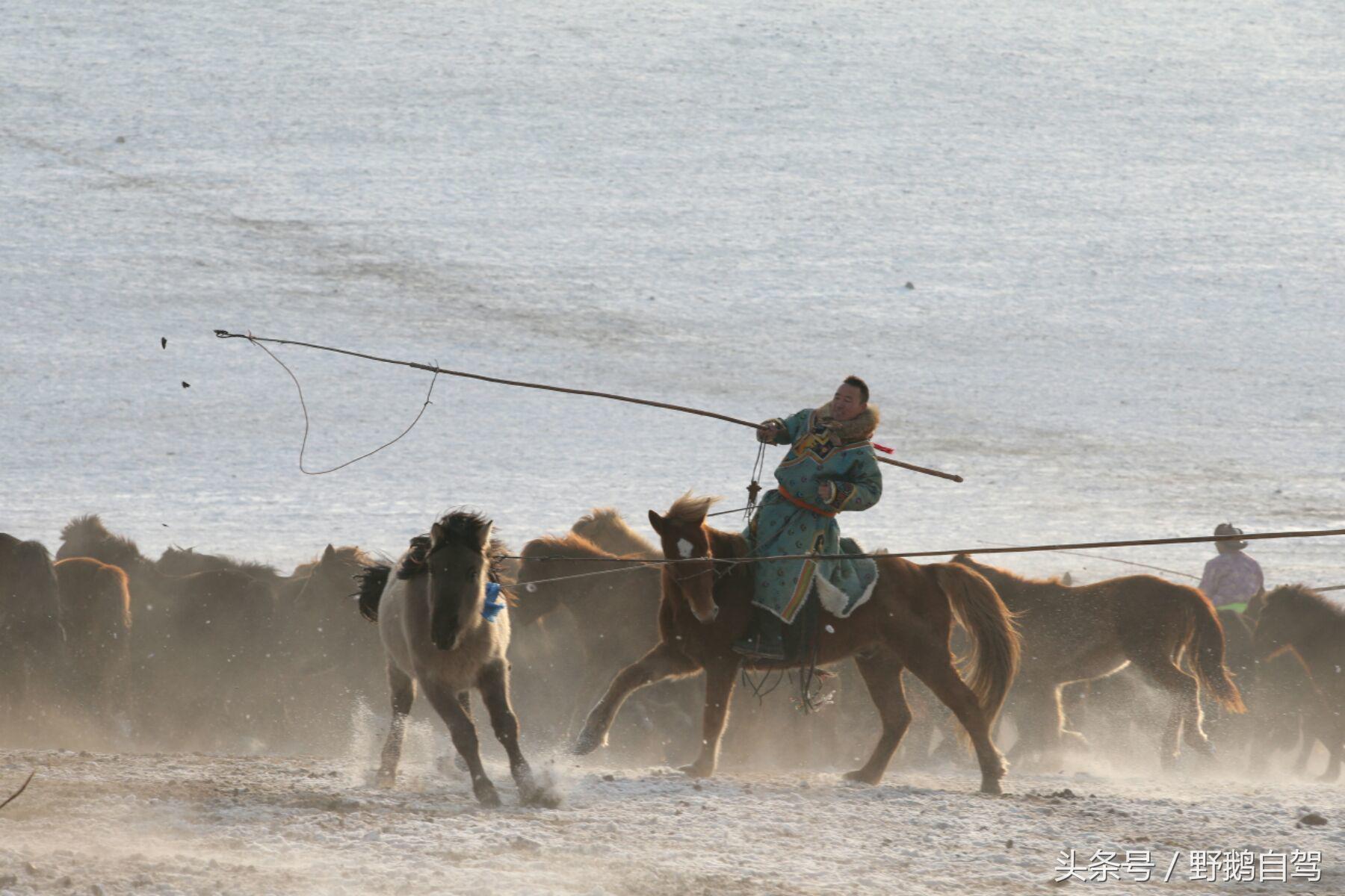 锡林郭勒盟那达慕自驾攻略,锡林郭勒冰雪那达慕完整版
