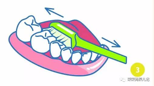 盘点李*荣大**的牙刷军团！其实吧，牙刷并不是重点，怎么刷才是！