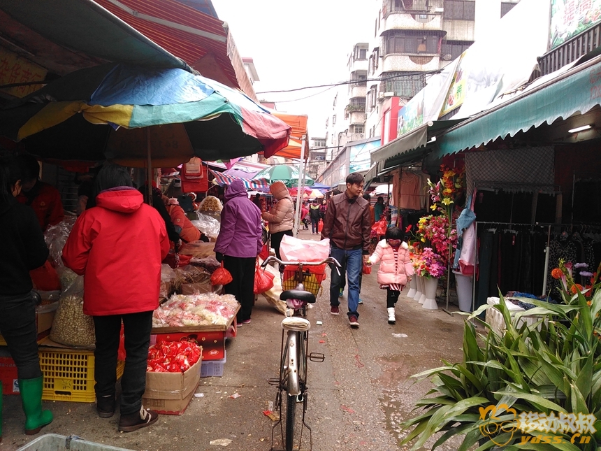 tcl乐玩评测,tcl乐玩2c续航怎么样