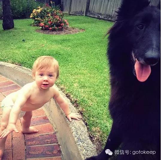 八块腹肌的小怪兽,腹肌小怪兽