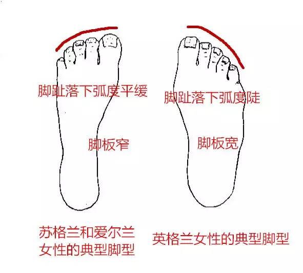 谣言粉碎机：你哪来的脸说自己是中高档品牌？