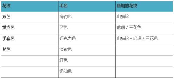 布偶猫美,布偶猫好美