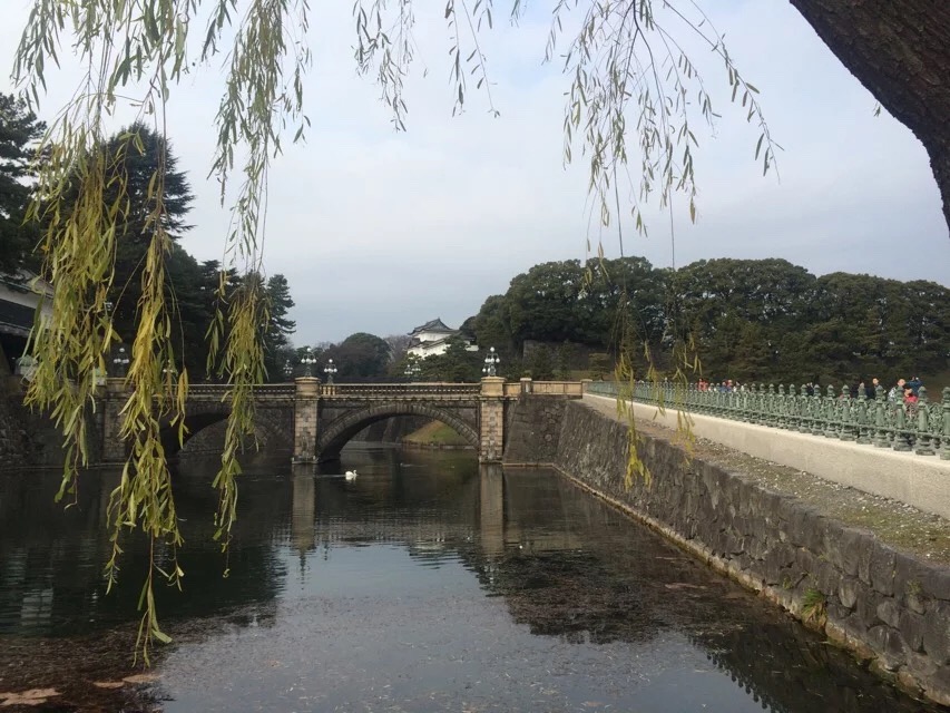 日本旅游马桶,日本旅游购物攻略一览表