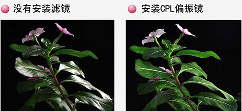 镜头上的参数知识点,镜头上都有哪些信息