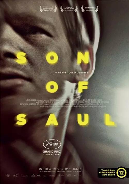 「片单」2016年度电影推荐by文学系教师