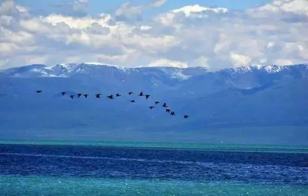 中国每个季节的旅游攻略 (中国一年四季的旅游攻略)