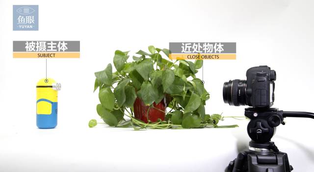 新手玩单反入门教程,单反入门速度对照表