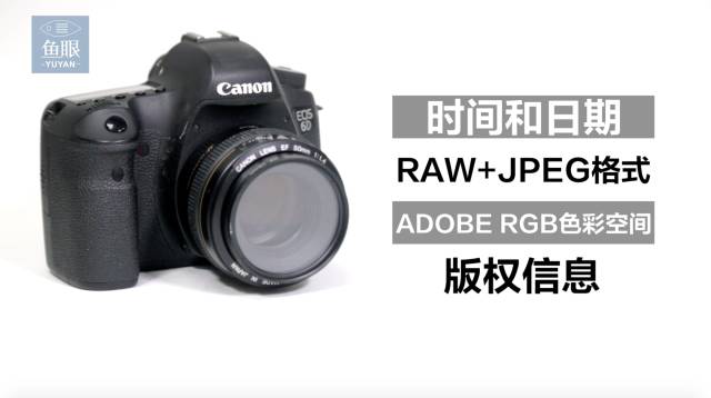 新手玩单反入门教程,单反入门速度对照表