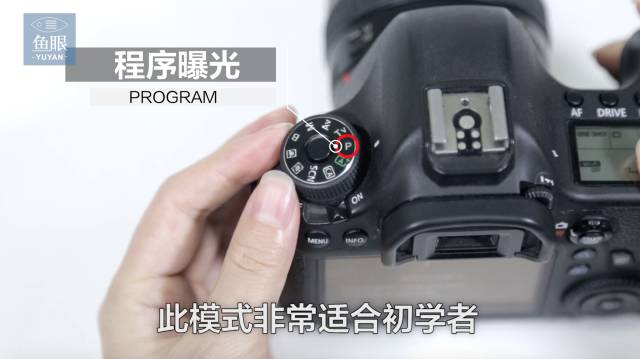新手玩单反入门教程,单反入门速度对照表