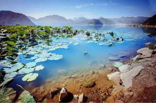 广州到云南的廉价机票,广州去云南的机票多少钱