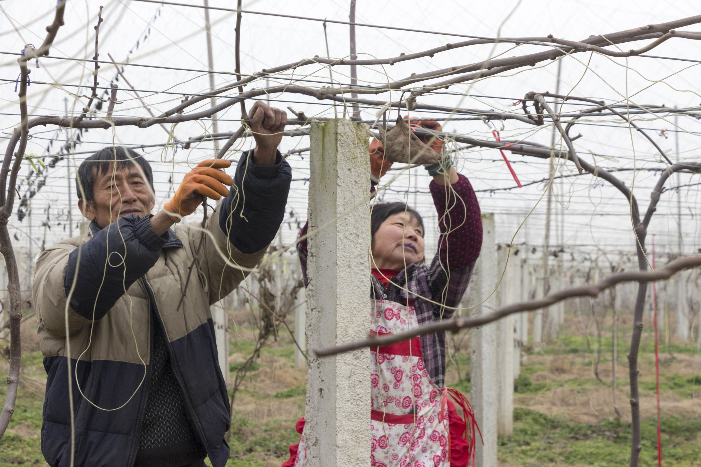 外出务工农民可以享受土地承包吗,农民承包土地获得劳动报酬