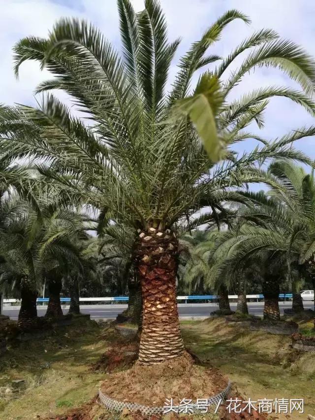 “好苗不愁嫁”,看看房姐如何应对挑剔客户!