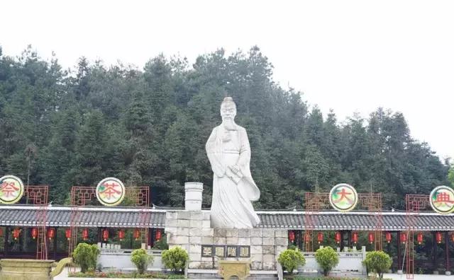 凤冈毛尖锌硒茶价格表,凤冈锌硒茶是绿茶吗