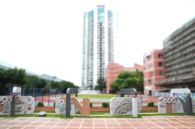 厦门冷知识你知道多少,冷知识糖怎么来的