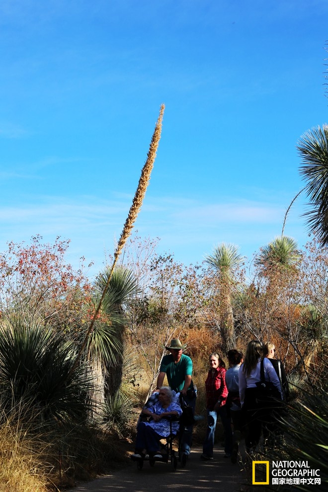 图森仙人掌,图森地理位置