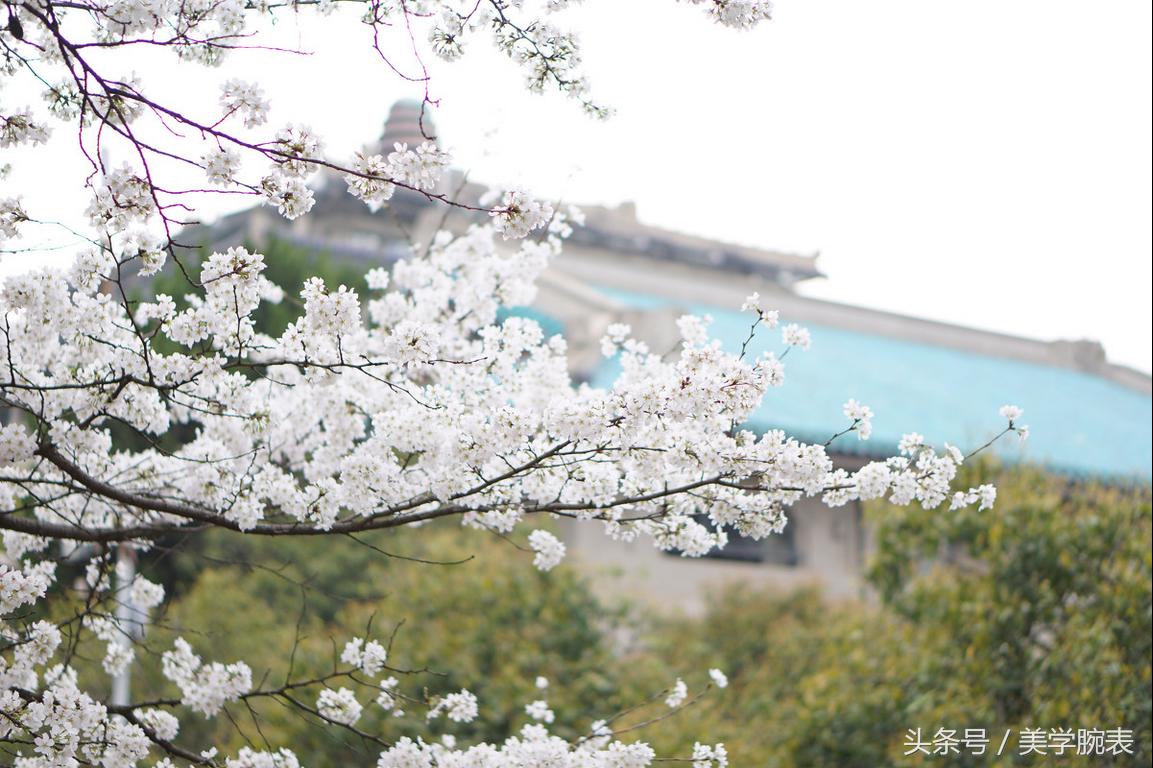 年后一起出去打工,年后返武汉的要求