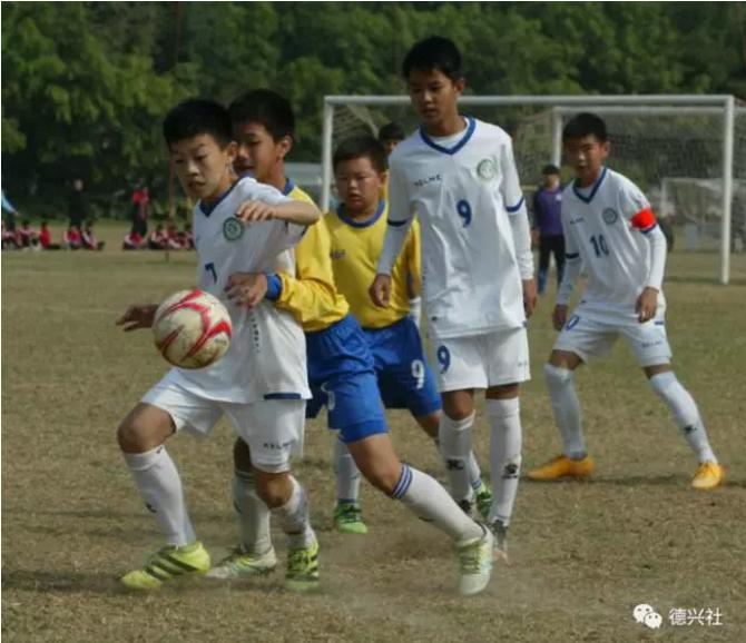 马德兴专栏直播,马德兴专访