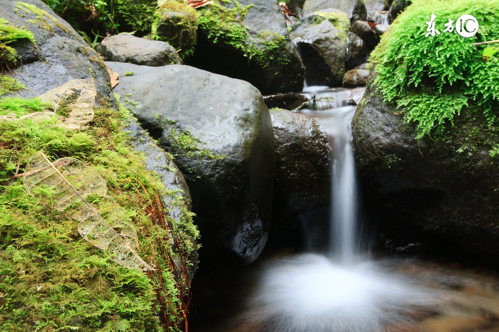 天疱疮激素治疗不见好转,天疱疮治好了和正常皮肤一样吗