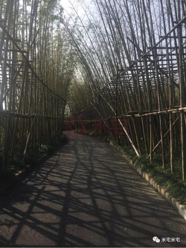 万科良渚文化村成功的原因,杭州良渚文化村绿城