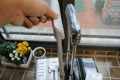 说走就走的旅行2020,说走就走的旅行美国