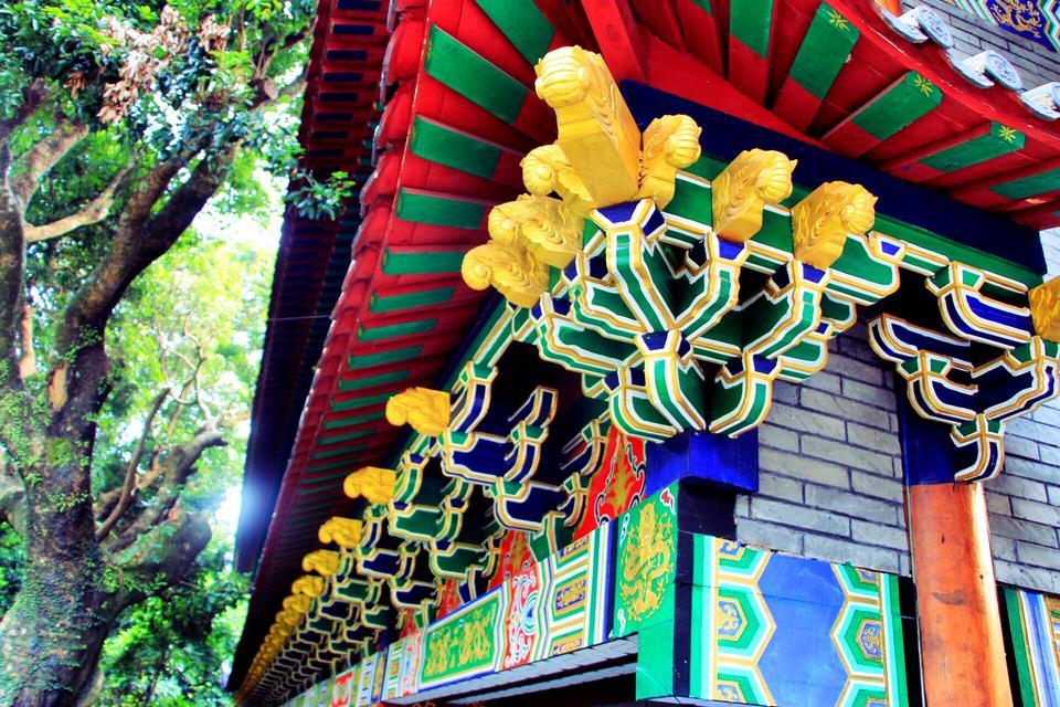 深圳哪里有大片的花海可以欣赏,深圳的花海有多美