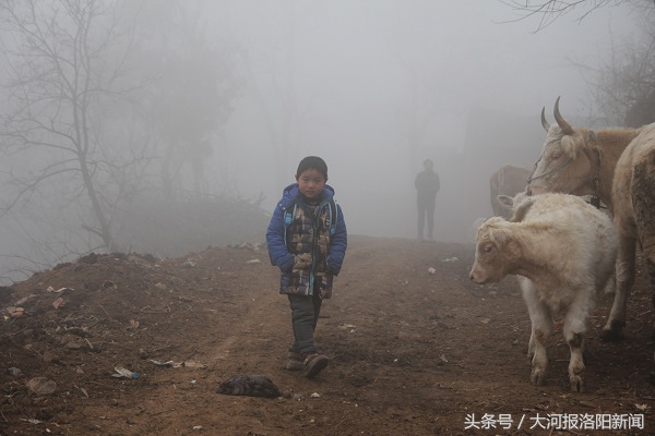 新年全校师生的特殊心愿：盼望学校恩人影星苏有朋再回来看一看