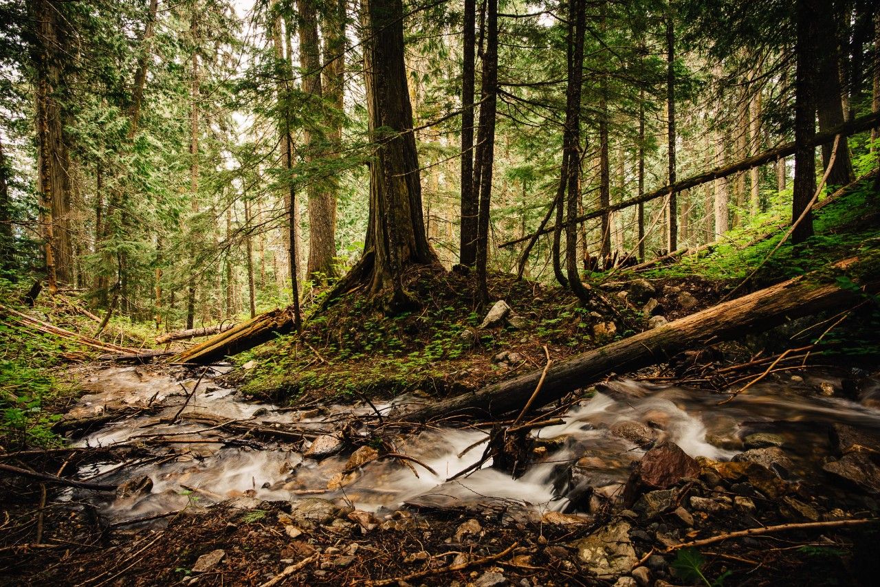 还没来得及到加拿大？那就跟着电影先看看吧！