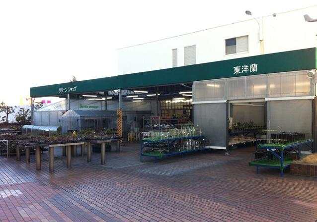 鏃ユ湰鐜夐湶澶氳倝澶ф,浠庡鑲夊ぇ妫氶噷璺戝嚭鏉ョ殑澶氳倝