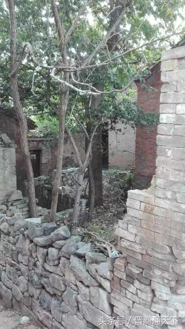 钟灵秀图片,钟灵秀一字马