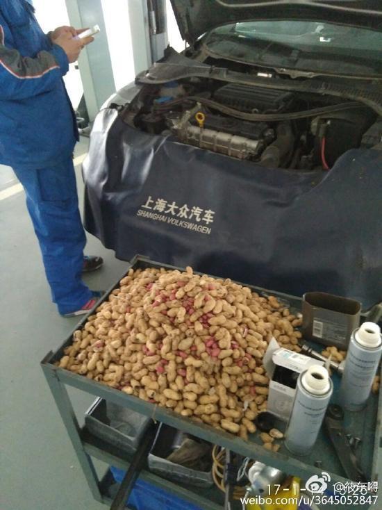 老鼠存一年的花生被车主发现,老鼠存花生被车主发现