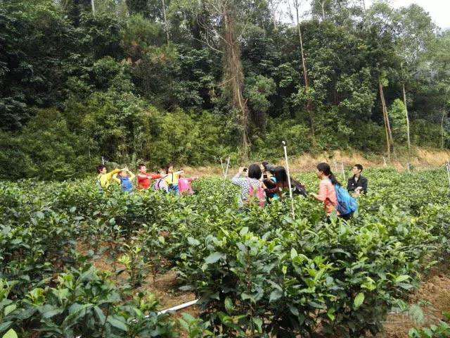 大尖山露营公园图,五桂山山旮旯露营基地