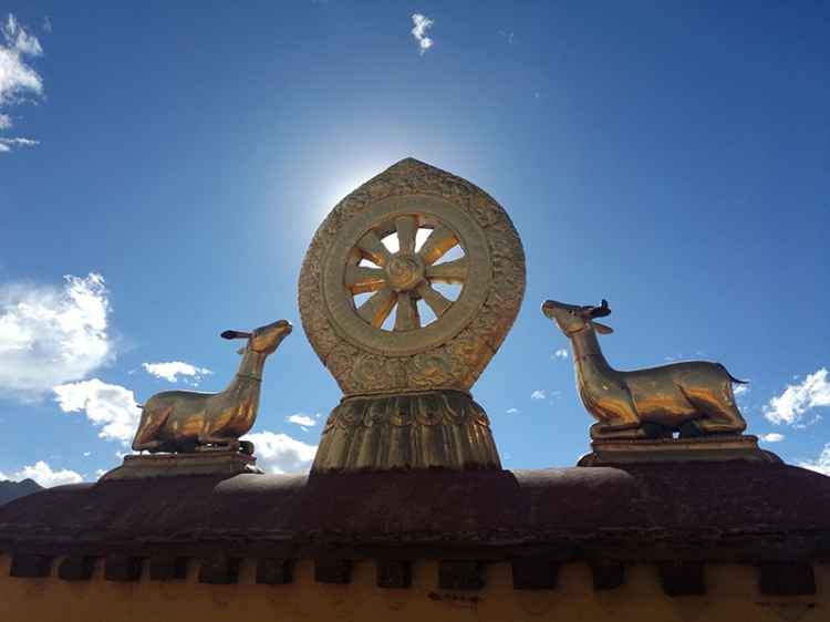 滇藏219线骑摩托进藏最全攻略,2021滇藏进藏自驾游