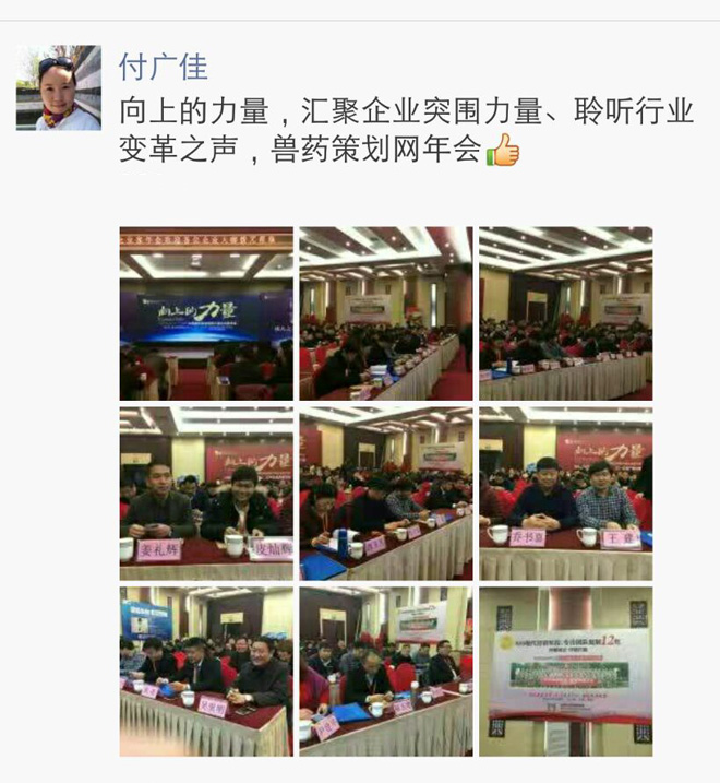 年会感恩特辑：每一份信赖，都是满满的成人之美