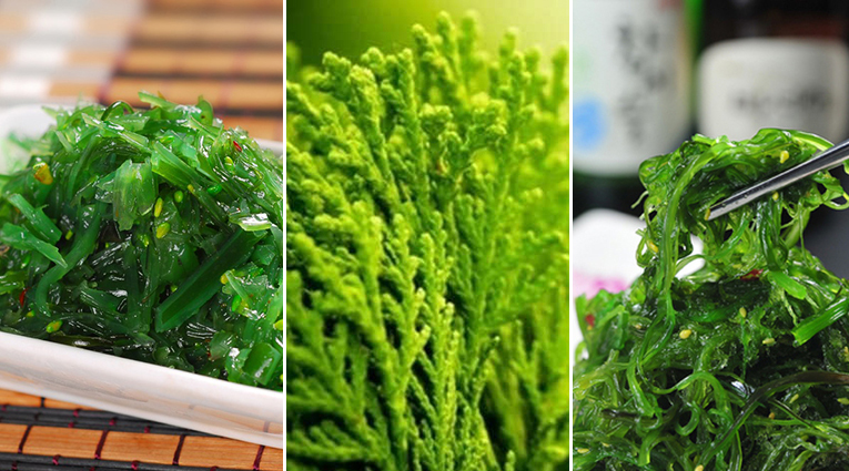 日本人长寿的十大饮食,日本长寿有何饮食秘诀