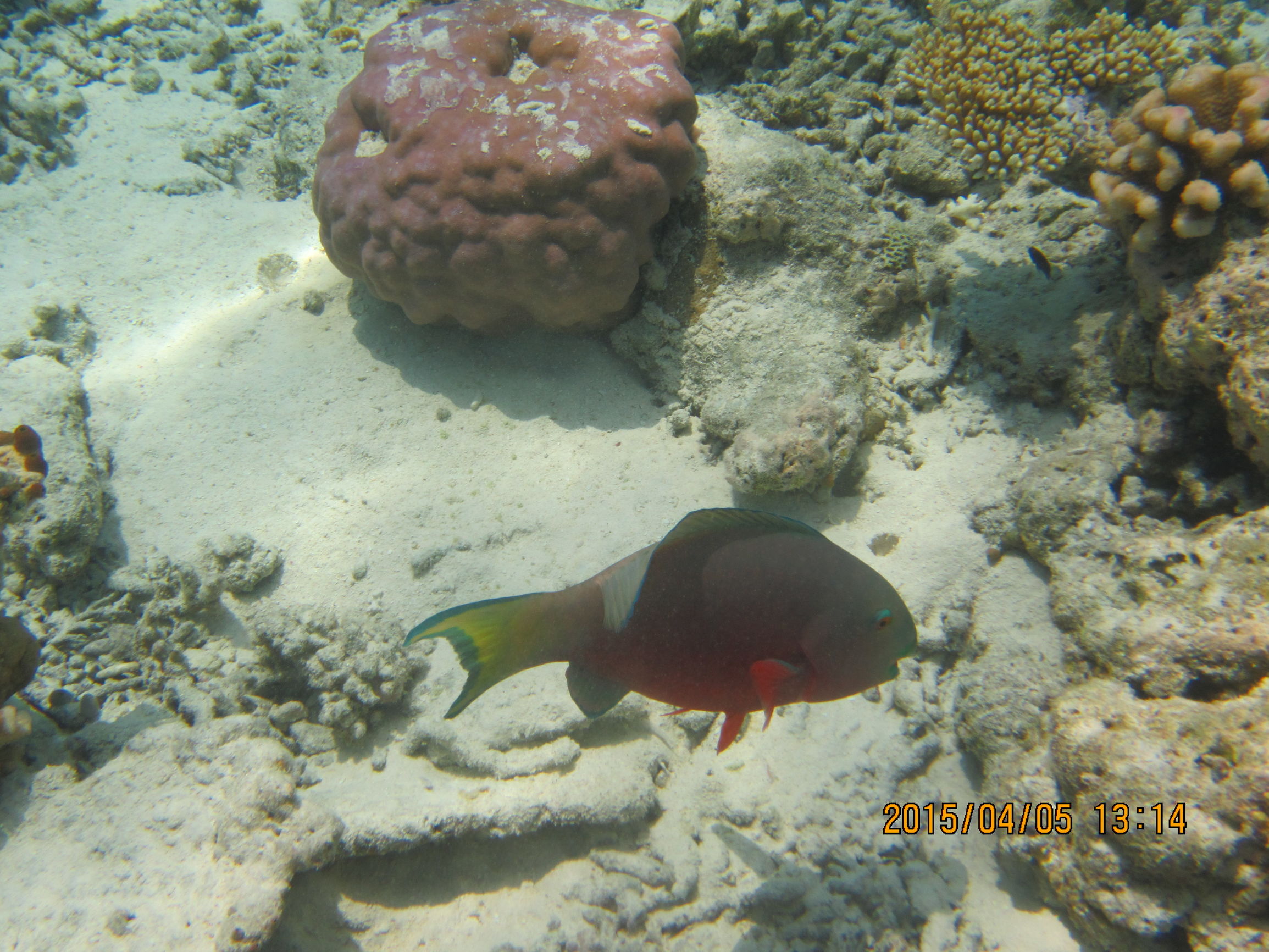马尔代夫最美景色,最美马尔代夫风景